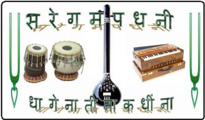 Read more about the article प्रवासीले बचाएको नेपाली संगीत उद्योग !